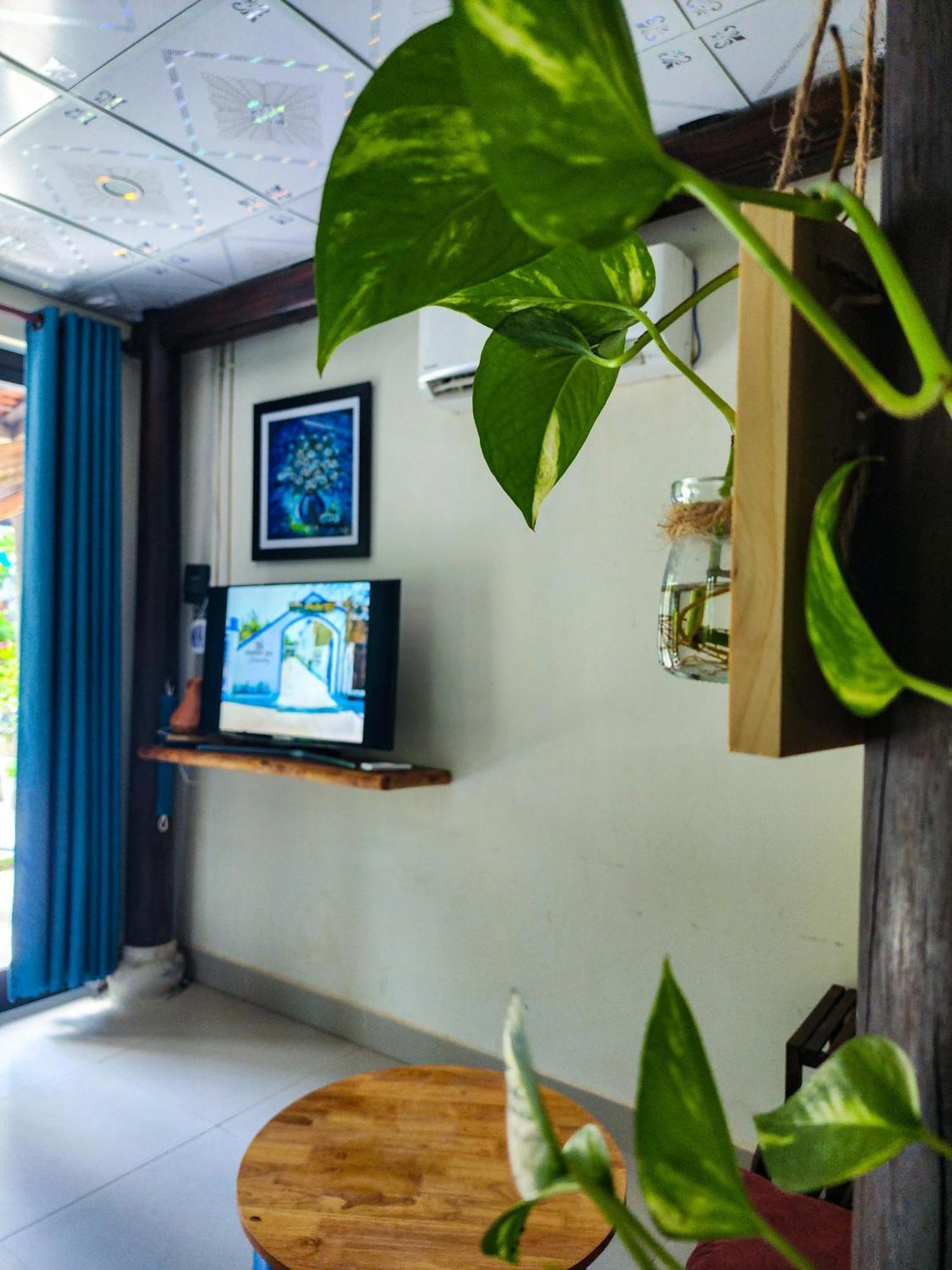 Dragon Sea Homestay Hội An Ngoại thất bức ảnh